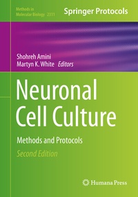 Abbildung von: Neuronal Cell Culture - Humana