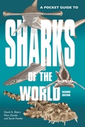 Bild: A Pocket Guide to Sharks of the World - Princeton University Press