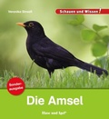 Cover: Die Amsel / Sonderausgabe - Hase und Igel Verlag