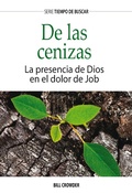 Cover: De las cenizas - Publica&ccedil;&otilde;es P&atilde;o Di&aacute;rio