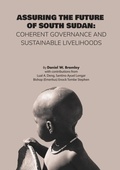 Cover: Assuring the Future of South Sudan - Africa World Books Pty, Limited