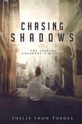 Cover: Chasing Shadows - Author Academy Elite (AAE)