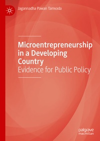 Abbildung von: Microentrepreneurship in a Developing Country - Palgrave Macmillan