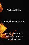 Cover: Das dunkle Feuer - Texianer Verlag