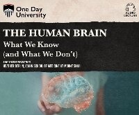 Enlarge image Cover: The Human Brain - Dreamscape Media