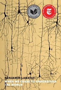 Enlarge image Cover: When We Cease to Understand the World - New York Review Books