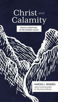 Enlarge image Cover: Christ and Calamity - Faithlife Corporation