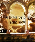 Cover: Different window, same view - BookRix