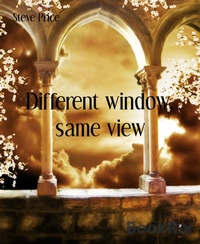 Enlarge image Cover: Different window, same view - BookRix