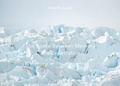 Cover: Renate Aller - Kehrer Verlag
