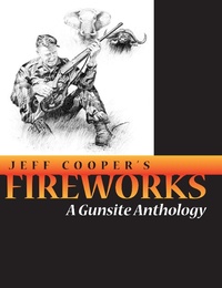 Enlarge image Cover: Fireworks - BOOKBABY