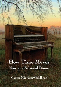 Enlarge image Cover: How Time Moves - Meadowlark