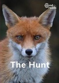 Cover: The Hunt - Gatehouse Books Limited