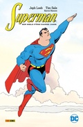 Cover: Superman: Ein Held f&uuml;rs ganze Jahr - DC COMICS bei Panini Comics