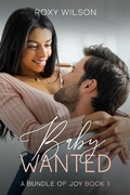 Cover: Baby Wanted (A Bundle of Joy, #1) - A Bundle of Joy
