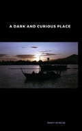 Cover: A Dark and Curious Place (Vietnam War Era) - Vietnam War Era