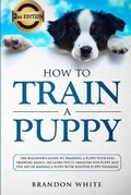 Cover: How to Train a Puppy - Smart Creative Publishing