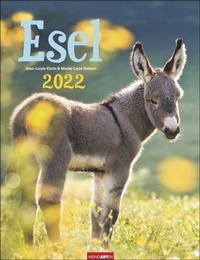 Abbildung von: Esel Kalender 2022 - Weingarten