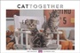 Bild: Whiskas Katzenkalender 2022 - Heye