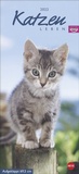 Bild: Whiskas Katzenleben Kalender 2022 - Heye