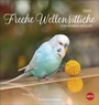 Bild: Freche Wellensittiche Postkartenkalender 2022 - Heye