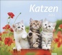 Bild: times&more Katzen Bildkalender 2022 - Heye