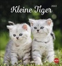 Bild: Katzen Postkartenkalender Kleine Tiger 2022 - Heye