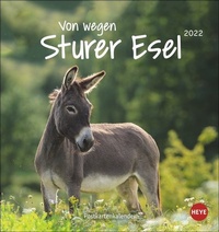 Abbildung von: Esel Postkartenkalender 2022 - Heye