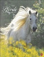 Cover: Pferde Classics Kalender 2022 - Heye