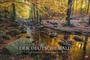 Bild: Der deutsche Wald - Ein literarischer Spaziergang Kalender 2022 - Heye