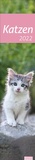 Bild: times&more Katzen long Kalender 2022 - Heye