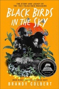 Cover: Black Birds in the Sky - Balzer + Bray