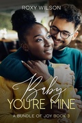 Cover: Baby, You're Mine (A Bundle of Joy, #3) - A Bundle of Joy