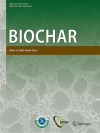Bild: Biochar - Springer