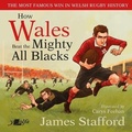 Cover: How Wales Beat the Mighty All Blacks - Y Lolfa