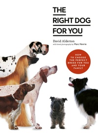 Abbildung von: The Right Dog for You - Ivy Press