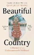 Cover: Beautiful Country - Viking