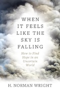 Cover: When It Feels Like the Sky Is Falling - Harvest House Publishers