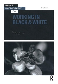 Abbildung von: Working in Black & White - Routledge