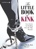 Cover: The Little Book of Kink - Quiver Books