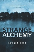 Cover: Strange Alchemy - Curious Fox