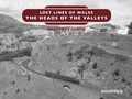 Cover: Lost Lines - Graffeg