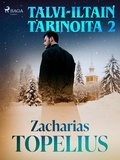 Cover: Talvi-iltain tarinoita 2 - Saga Egmont