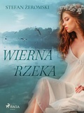 Cover: Wierna rzeka - Saga Egmont