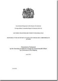 Cover: UK-Turkey relations and Turkey's regional role - TSO