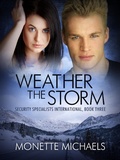 Cover: Weather the Storm - Monette Draper