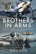 Cover: Brothers in Arms - Air World