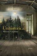 Cover: Unhistorical - The University Of Akron Press
