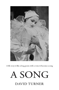 Abbildung von: A Song - Matador