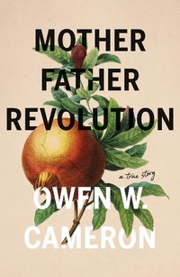 Abbildung von: Mother Father Revolution - Matador